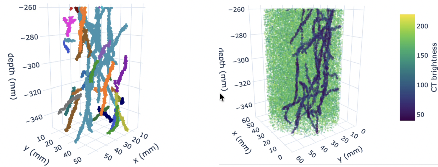Generated 3D roots and the corresponding synthetic X-ray CT of a soil core